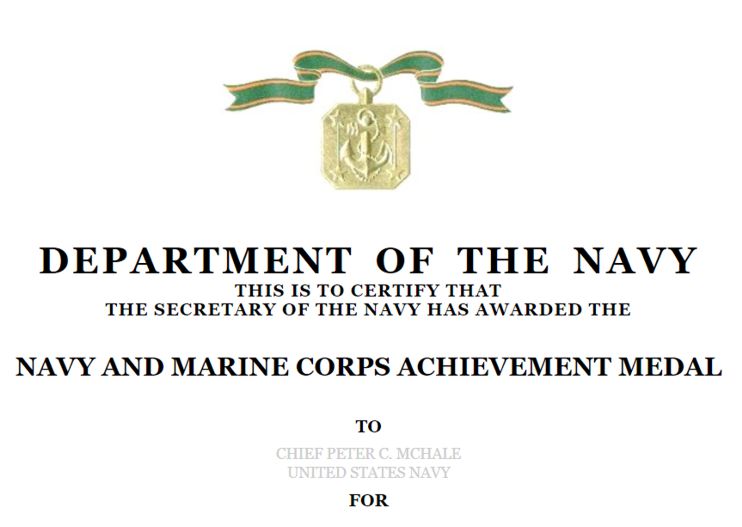 navy-achievement-medal-template-fillable-printable-word-searches