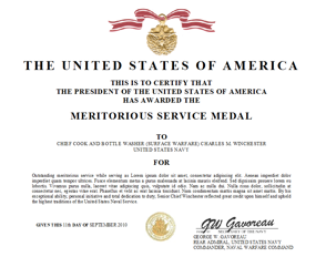 navy achievement medal citation format